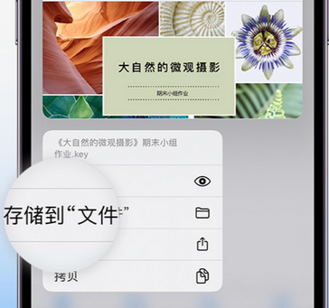 察隅apple维修中心分享iPhone文件应用中存储和找到下载文件