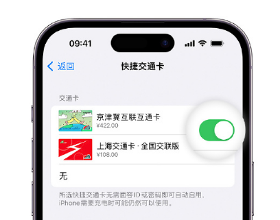 察隅apple维修点分享iPhone上更换Apple Pay快捷交通卡手绘卡面 