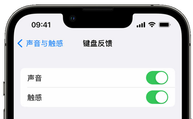 察隅苹果手机维修分享iPhone 14触感键盘使用方法 