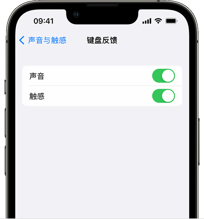 察隅苹果14维修店分享如何在 iPhone 14 机型中使用触感键盘 