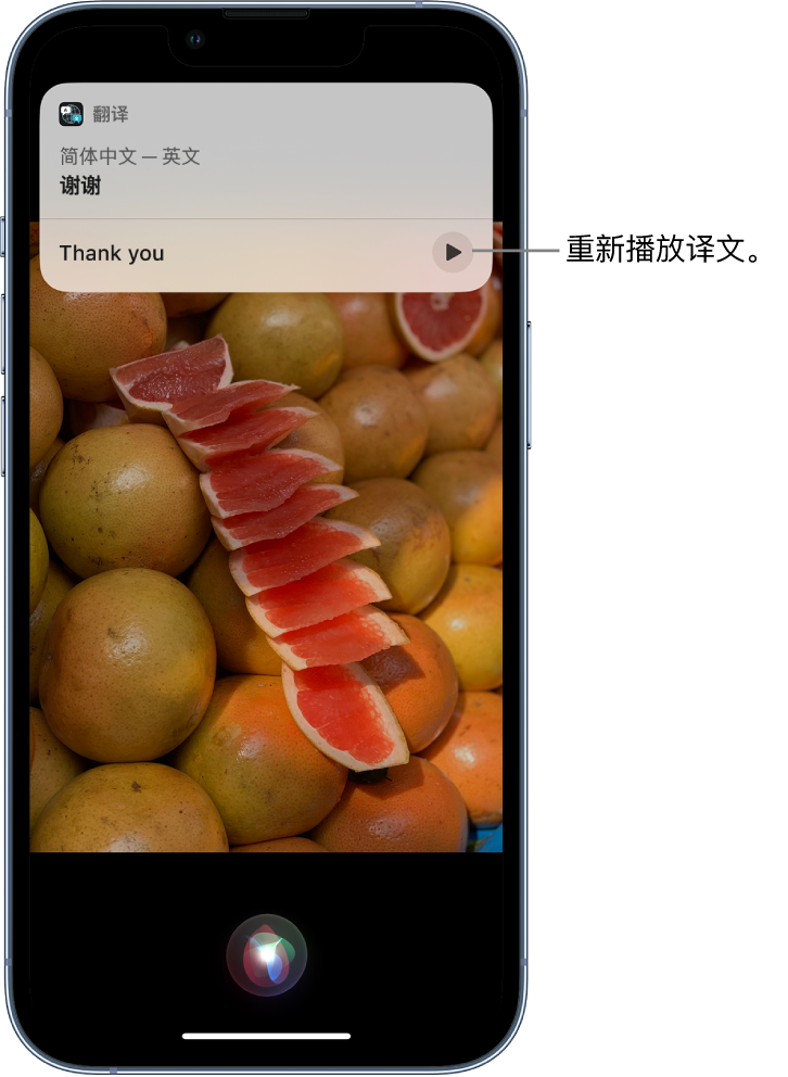 察隅苹果14维修分享 iPhone 14 机型中使用 Siri：了解 Siri 能帮你做什么 